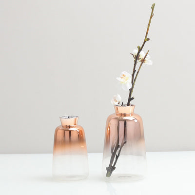 Gradient Glass Vase For Home Style Decoration