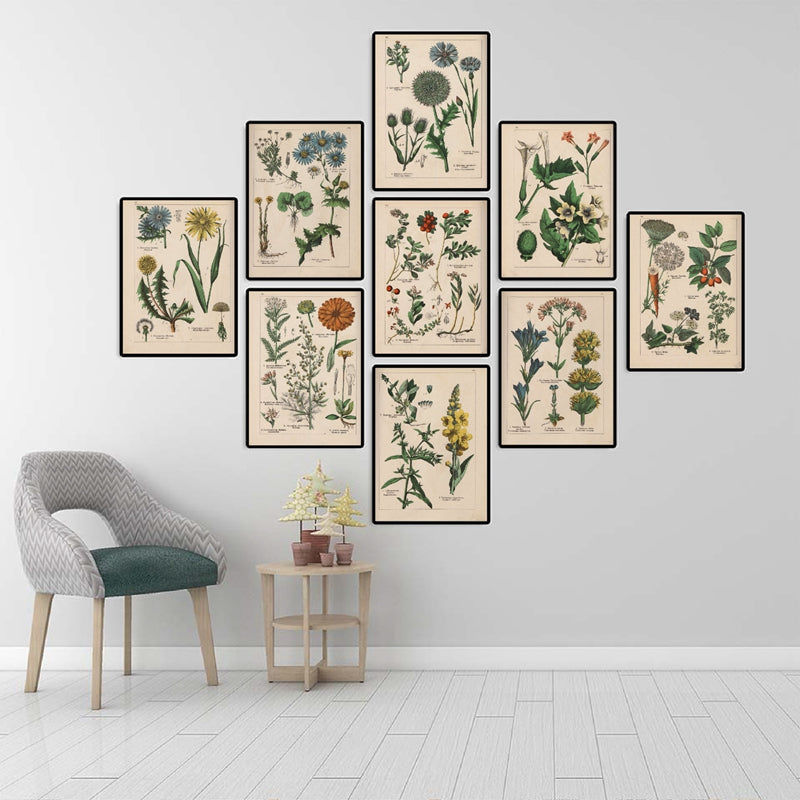Botanical Collection Vintage Posters and Prints Herbs 1898s Russian Language Wall Art Pictures Canvas Painting Home Wall Decor