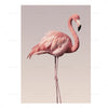 Romantic Flamingo Rose Sea Wave Print Animal Painting Modern Wall Art Poster Home Decoration