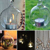 Candlestick Ball Globe Shape Clear Hanging Glass Vase Flower Plants