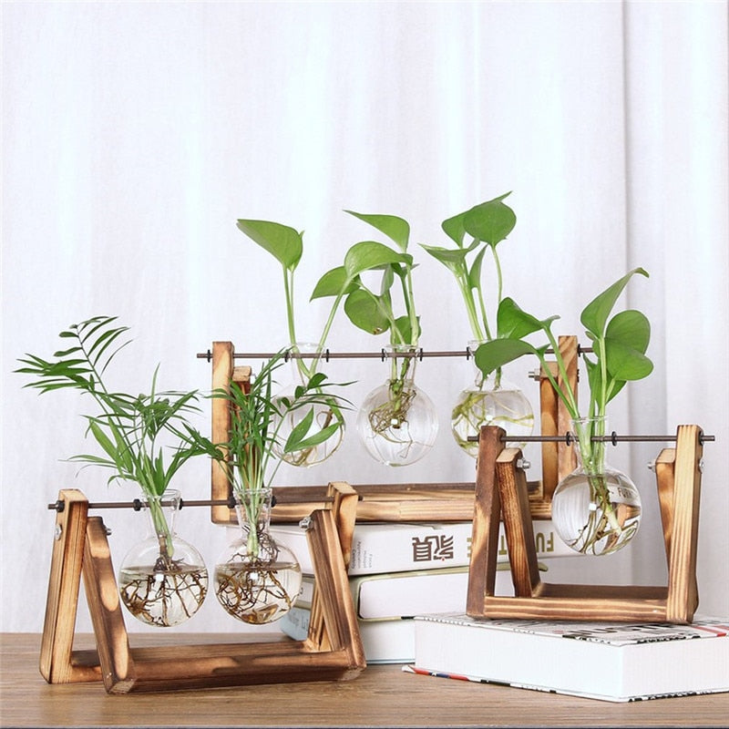 Desktop Glass Planter Bulb Vase with Retro Solid Wooden Stand and Metal Swivel Holder for Hydroponics Plants