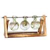 Desktop Glass Planter Bulb Vase with Retro Solid Wooden Stand and Metal Swivel Holder for Hydroponics Plants