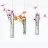 Iron Glass Vase Planter Pot Flower Container Wall Hanging flower vase