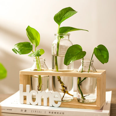 Hydroponic vase decoration home modern decorative glass