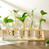 Hydroponic vase decoration home modern decorative glass